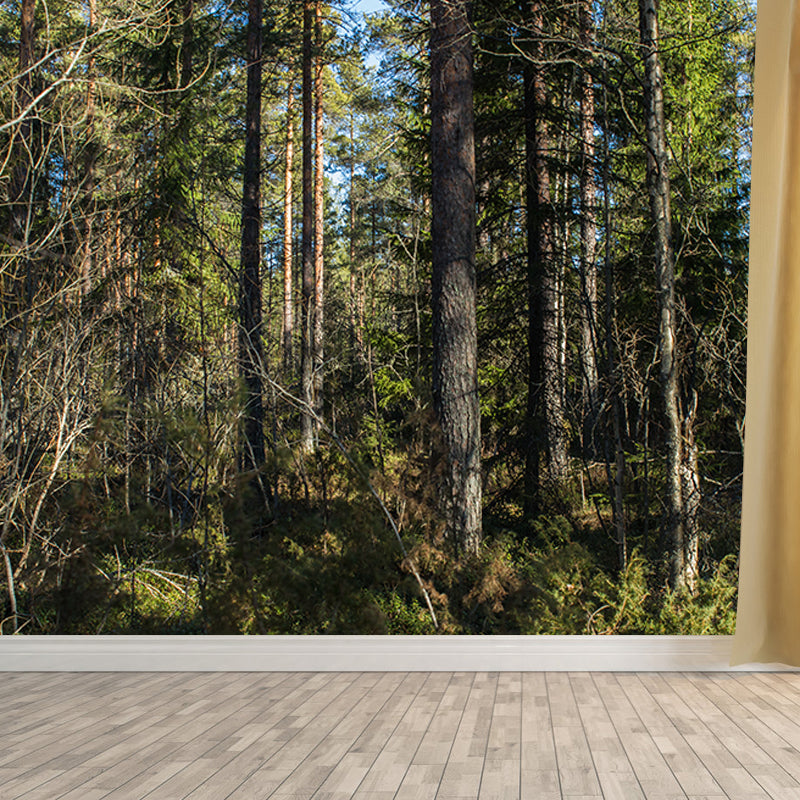 Forest Tree Wall Mural Modern Water Resistant Wall Decor in Soft Color