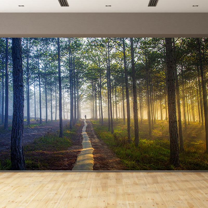 Forest Tree Wall Mural Modern Water Resistant Wall Decor in Soft Color