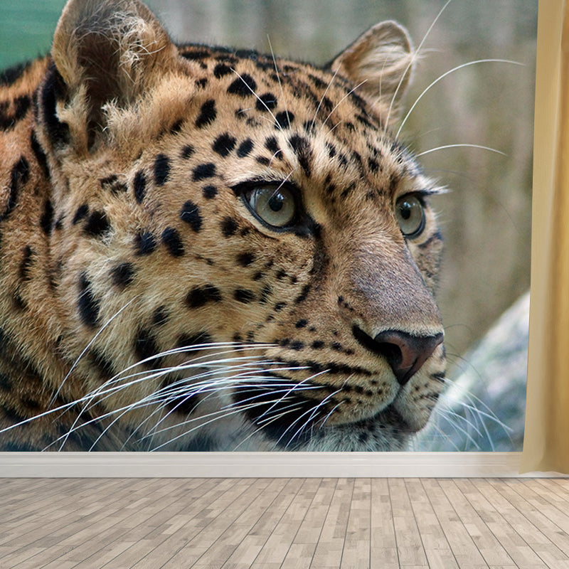 Lifelike Leopard Animal Mural for Home Decor Water Resistant, Made to Measure