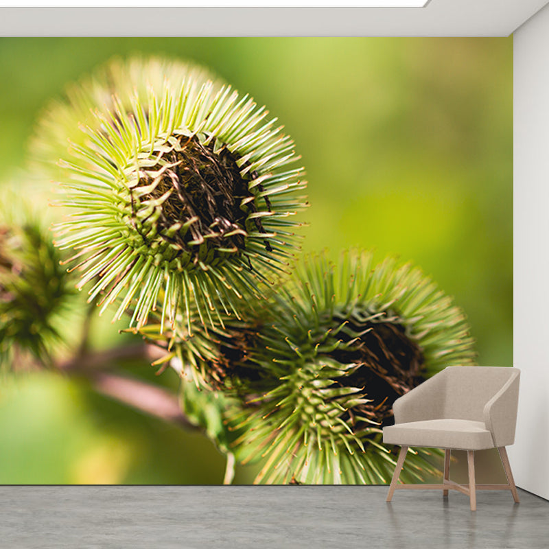 Various Plants Wall Decor Personalized Size Mural for Sititng Room, Waterproofing