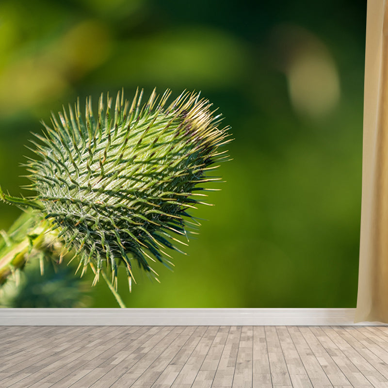 Various Plants Wall Decor Personalized Size Mural for Sititng Room, Waterproofing