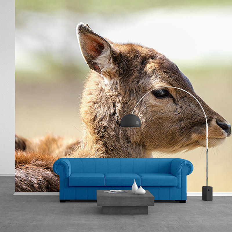 Deer Animal Mural Wallpaper for Living Room Decor Waterproofing,  Custom Size