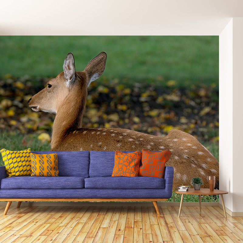 Deer Animal Mural Wallpaper for Living Room Decor Waterproofing,  Custom Size