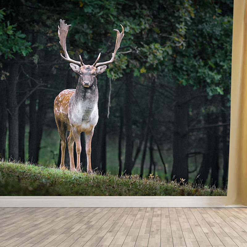 Cute Deer Animal Moisture Resistant Bedroom Wall Covering, Customized Size