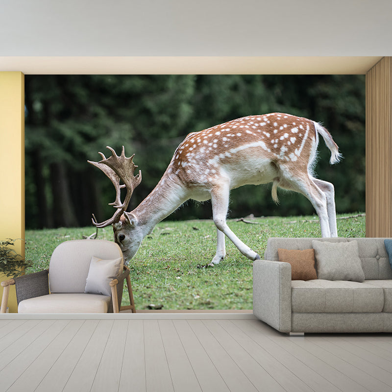 Cute Deer Animal Moisture Resistant Bedroom Wall Covering, Customized Size