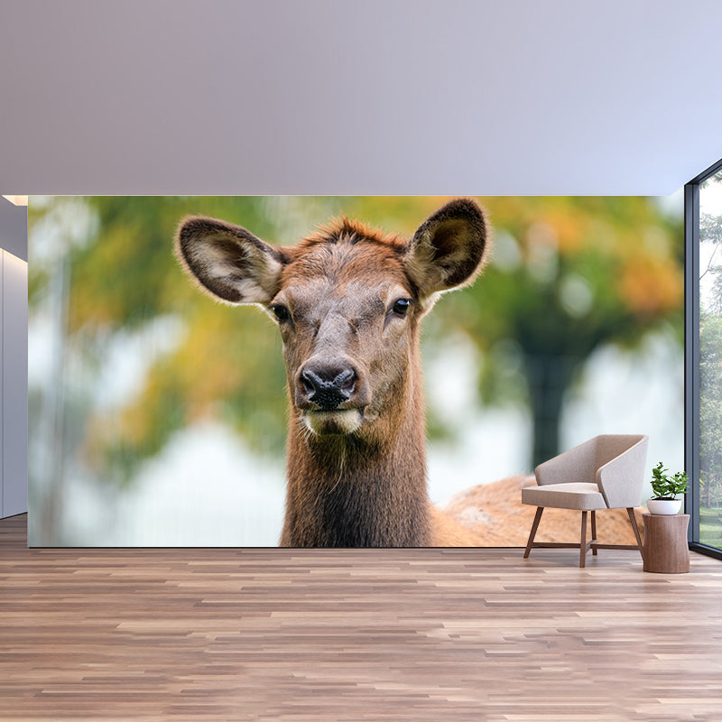 Cute Deer Animal Moisture Resistant Bedroom Wall Covering, Customized Size
