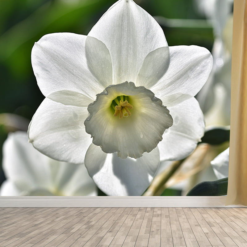 Beautiful Flower Wall Mural Water Resistant Wall Covering for Living Room