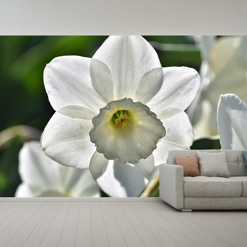 Beautiful Flower Wall Mural Water Resistant Wall Covering for Living Room