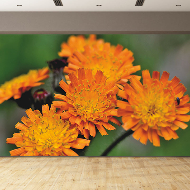 Beautiful Flower Wall Mural Water Resistant Wall Covering for Living Room