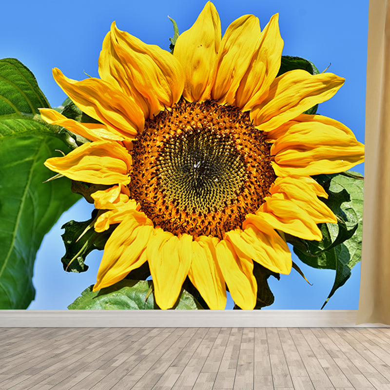 Beautiful Sunflower Wallpaper Mural Yellow Moisture Resistant Wall Art for Home