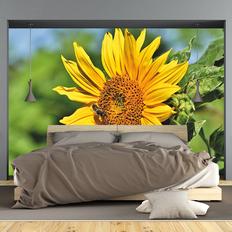 Beautiful Sunflower Wallpaper Mural Yellow Moisture Resistant Wall Art for Home