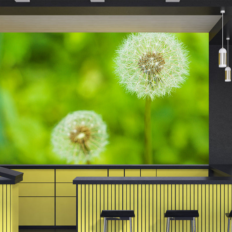 White Dandelion Wallpaper Murals Moisture Resistant Wall Decor, Personalised Size