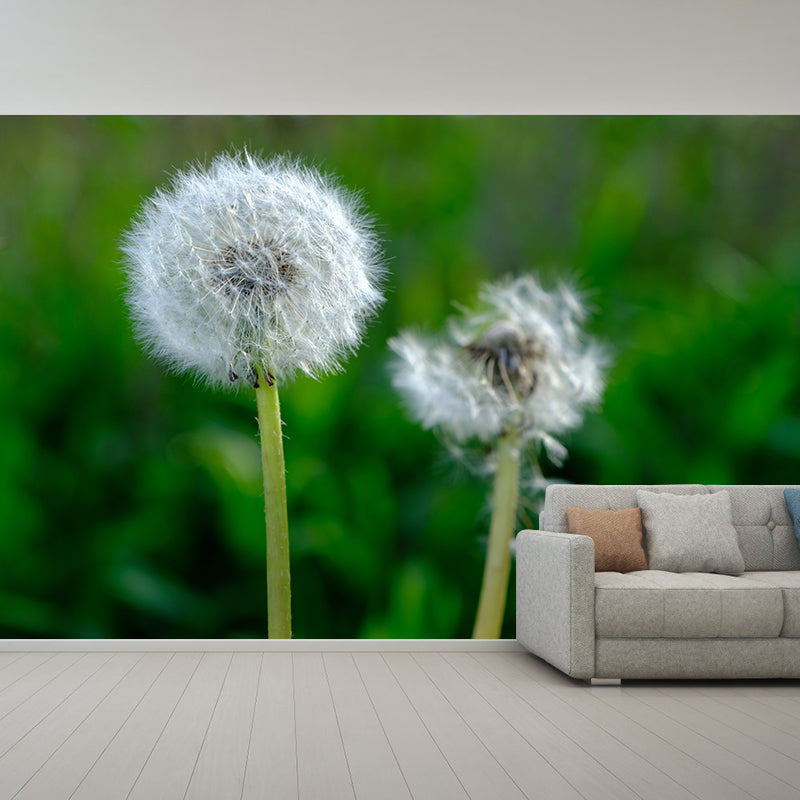 Minimalism White Dandelion Plant Murals Wallpaper Waterproof Bedroom Wall Decoration
