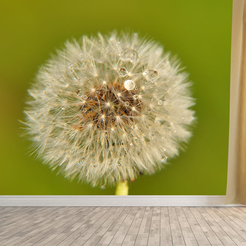 Minimalism White Dandelion Plant Murals Wallpaper Waterproof Bedroom Wall Decoration