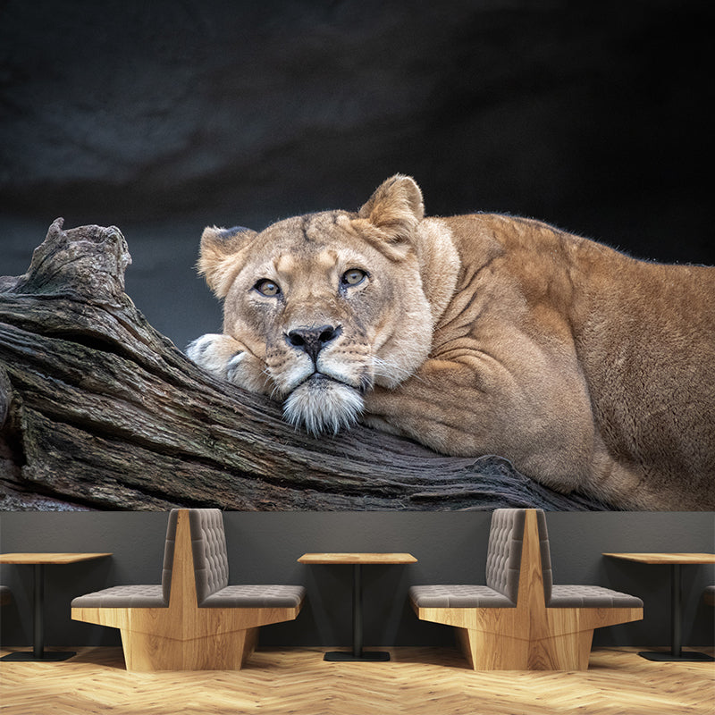 Lifelike Lion Wall Mural Decal for Sitting Room Stain Resistant, Custom Size Available