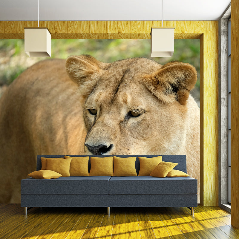 Lifelike Lion Wall Mural Decal for Sitting Room Stain Resistant, Custom Size Available