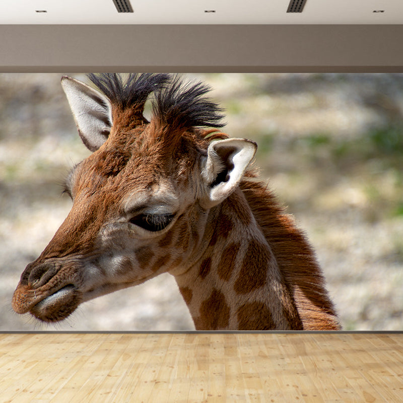 Giraffe Animal Removable Wall Decals Waterproofing Mural Wallpaper for Sitting Room