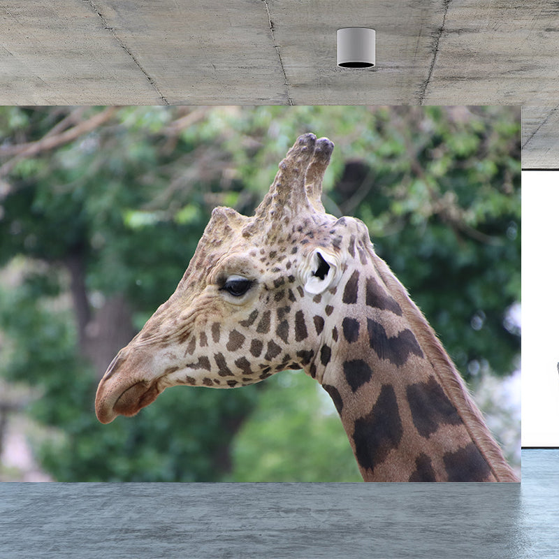 Giraffe Animal Removable Wall Decals Waterproofing Mural Wallpaper for Sitting Room