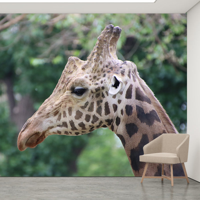 Giraffe Animal Removable Wall Decals Waterproofing Mural Wallpaper for Sitting Room