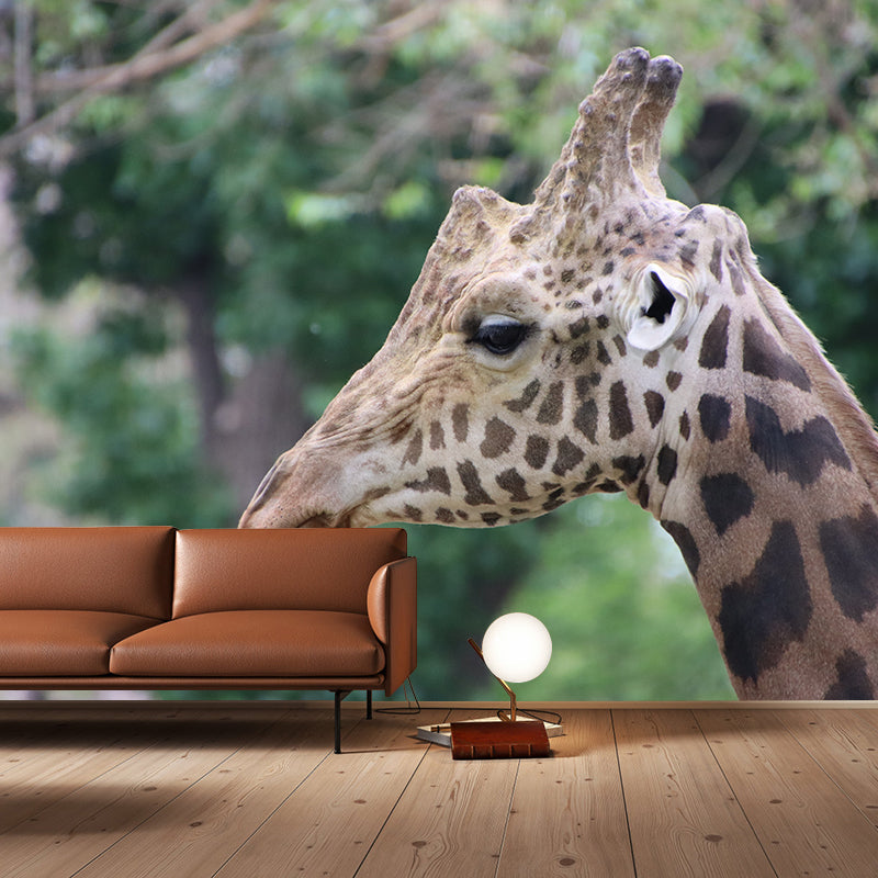 Giraffe Animal Removable Wall Decals Waterproofing Mural Wallpaper for Sitting Room