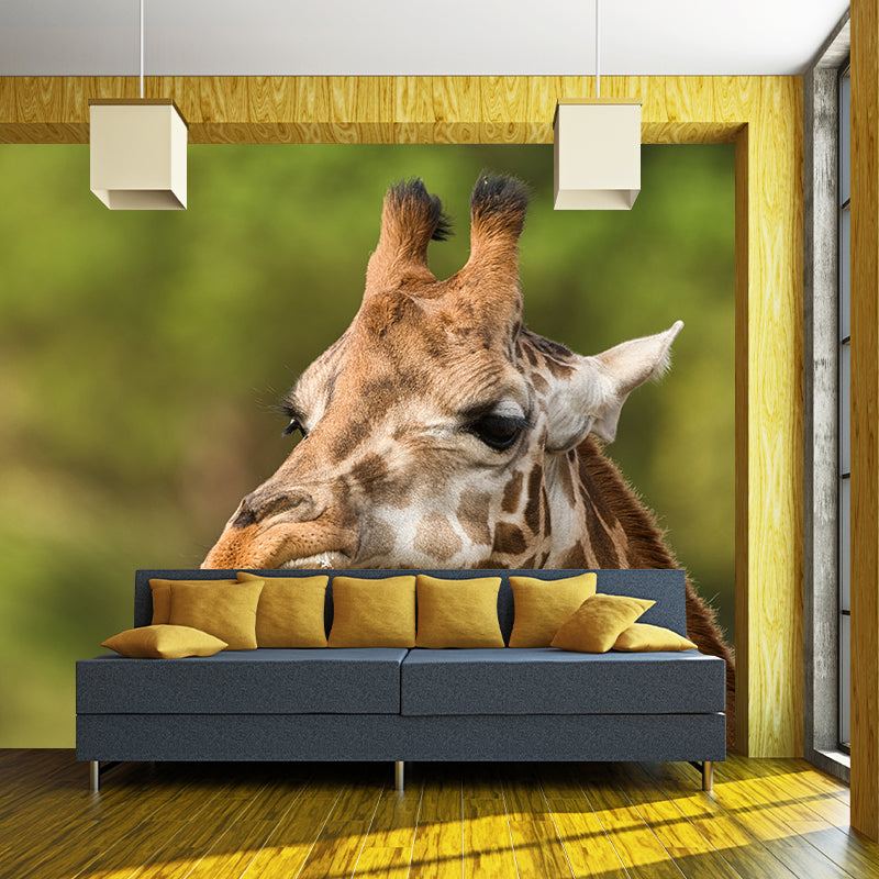 Giraffe Custom Photography Wall Murals Moisture Resistant, Made to Measure