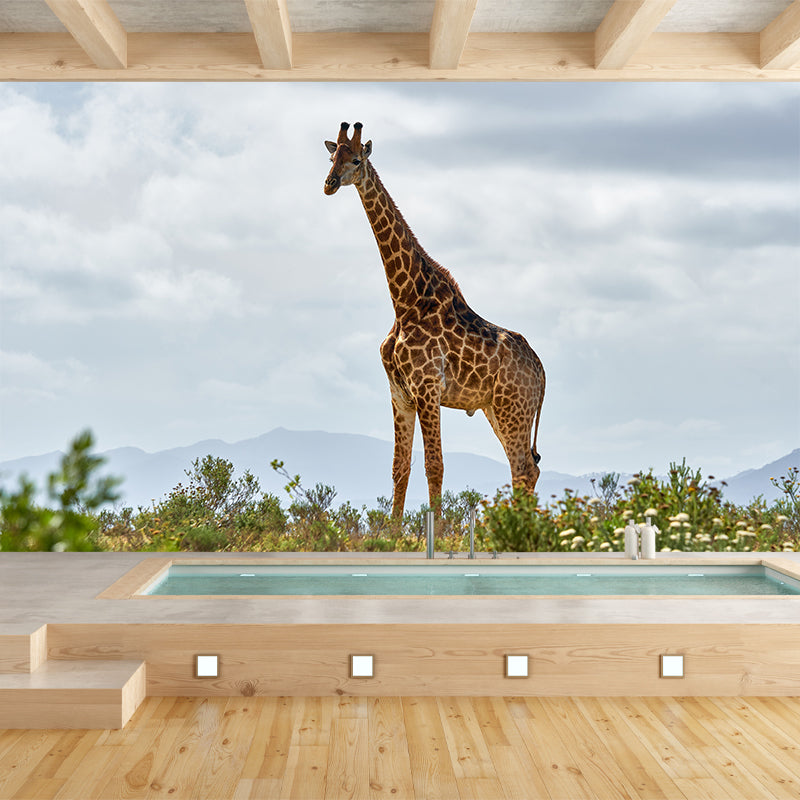 Giraffe Custom Photography Wall Murals Moisture Resistant, Made to Measure