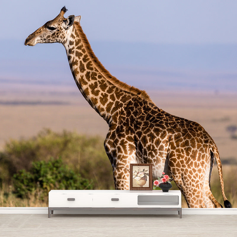 Giraffe Custom Photography Wall Murals Moisture Resistant, Made to Measure