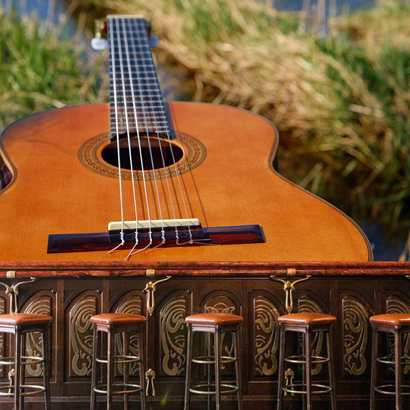 Guitar Water Resistant Mural Modern Washable Living Room Wall Art, Custom Print