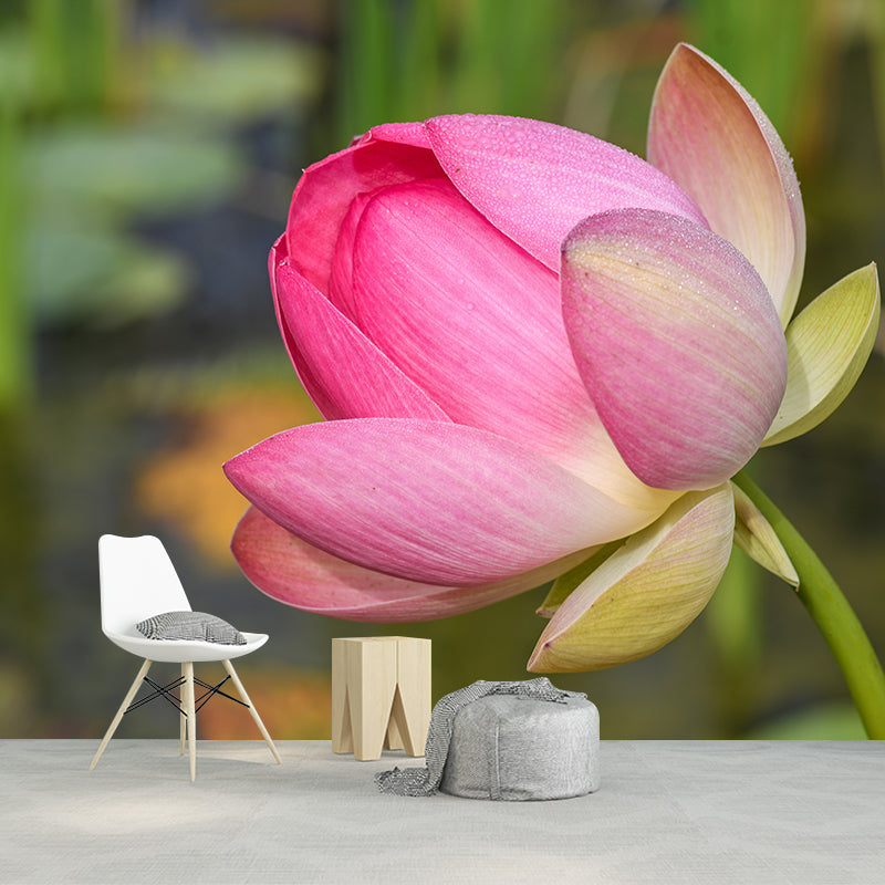 Water Plants Flower Print Wall Mural Decal Moisture Resistant, Custom Size