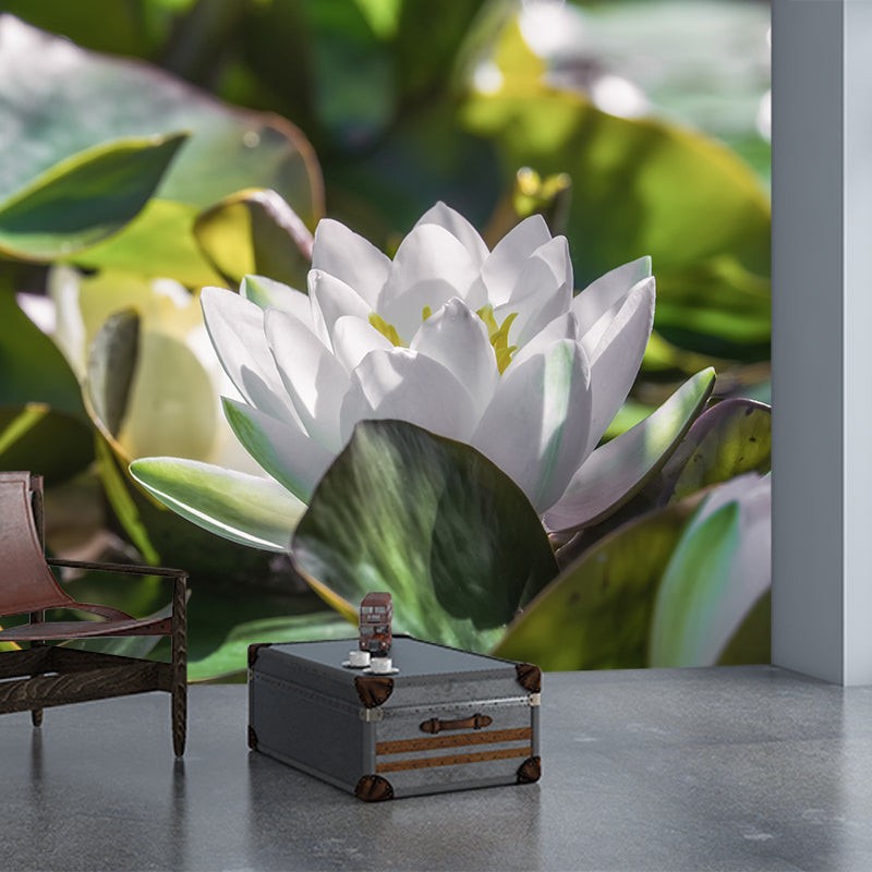 Water Plants Flower Print Wall Mural Decal Moisture Resistant, Custom Size