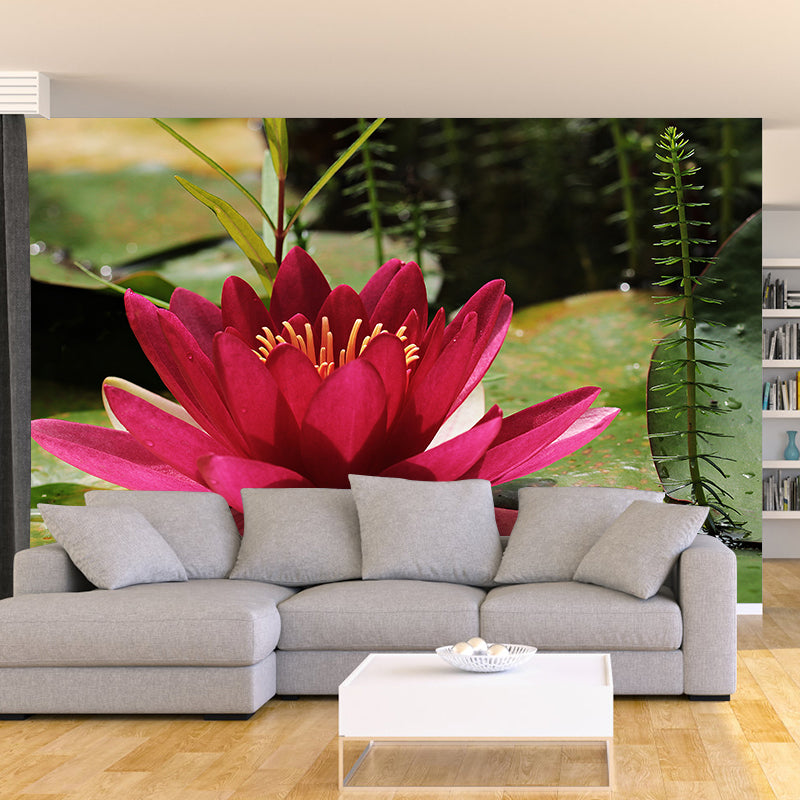 Beautiful Flower Wallpaper Mural Red and Pink Wall Decor for Bedroom, Waterproofing