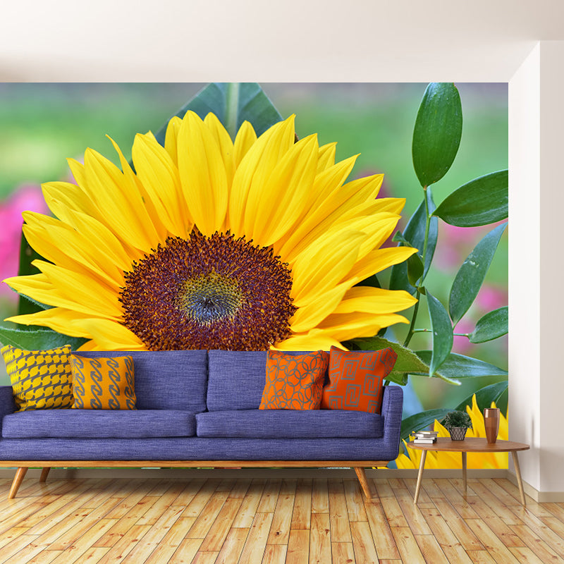 Alive Sunflower Mural Decal in Yellow Moisture Resistant, Custom Size Available