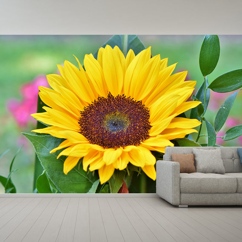 Alive Sunflower Mural Decal in Yellow Moisture Resistant, Custom Size Available