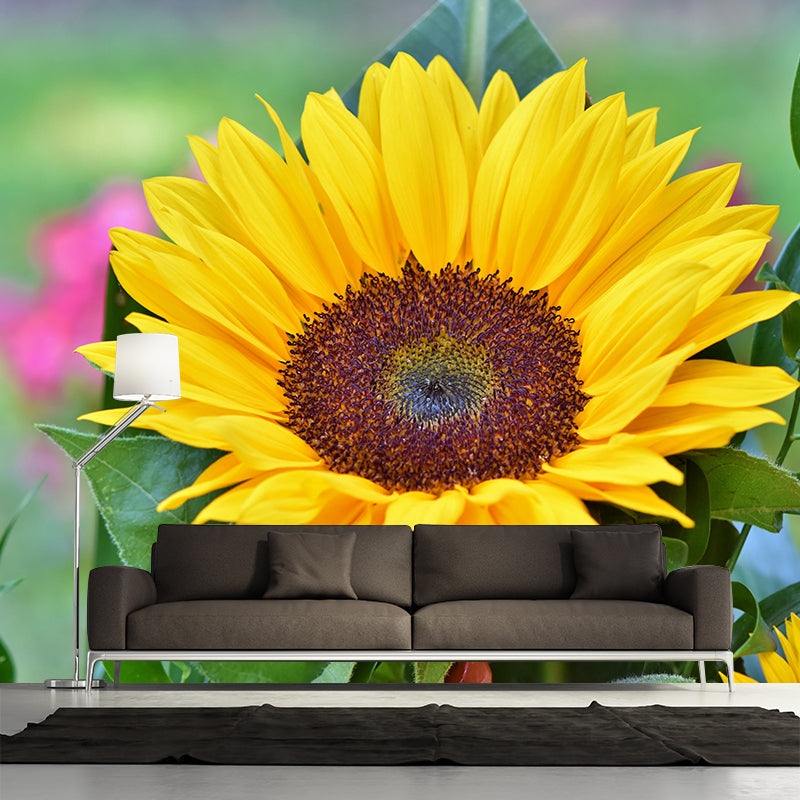 Alive Sunflower Mural Decal in Yellow Moisture Resistant, Custom Size Available