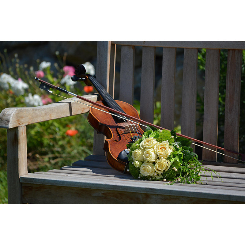 Contemporary Hobby Violin Mural Wallpaper Water Resistant Environment Friendly Wall Decor