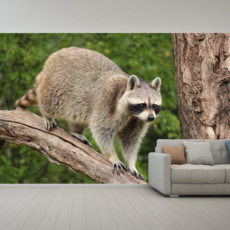 Raccoon Mural Wallpaper Contemporary Style Wall Covering for Living Room