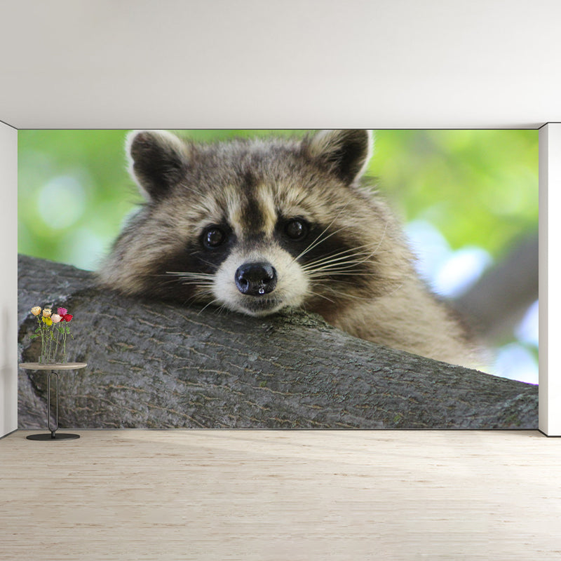 Raccoon Mural Wallpaper Contemporary Style Wall Covering for Living Room