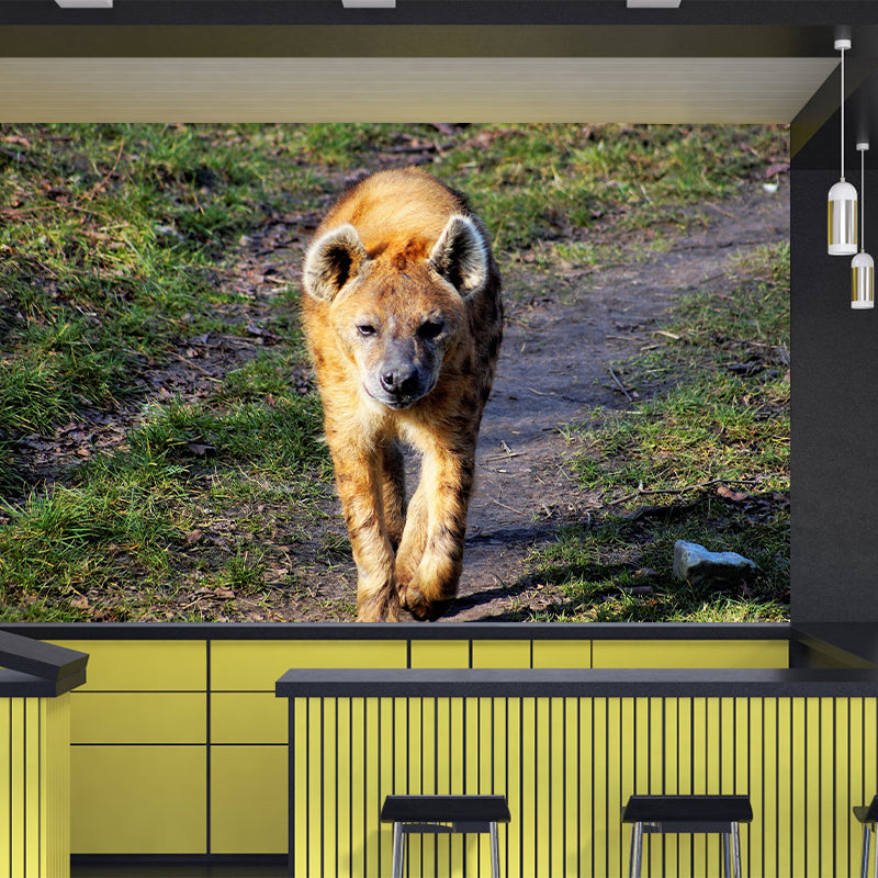 Contemporary Style Hyena Mural Eco-friendly Wallpaper Wall Covering for Sitting Room