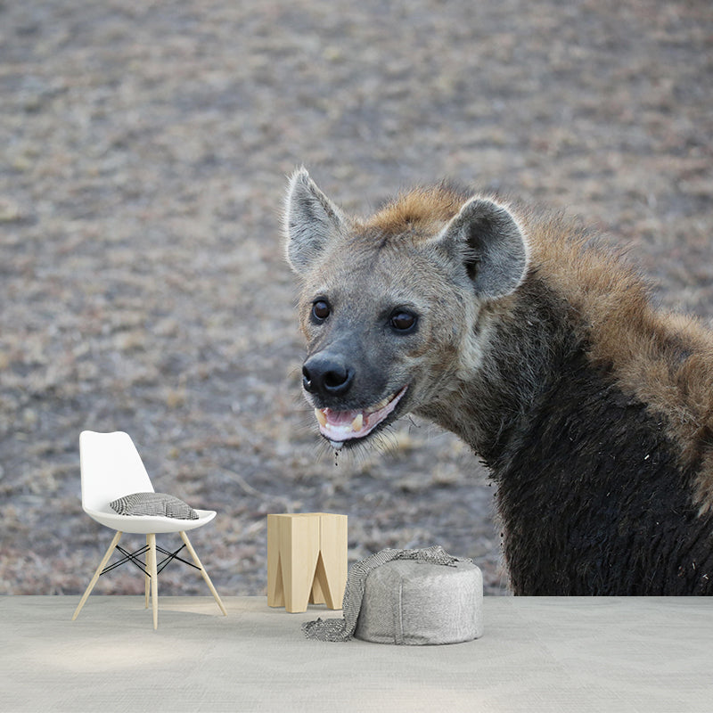 Contemporary Style Hyena Mural Eco-friendly Wallpaper Wall Covering for Sitting Room