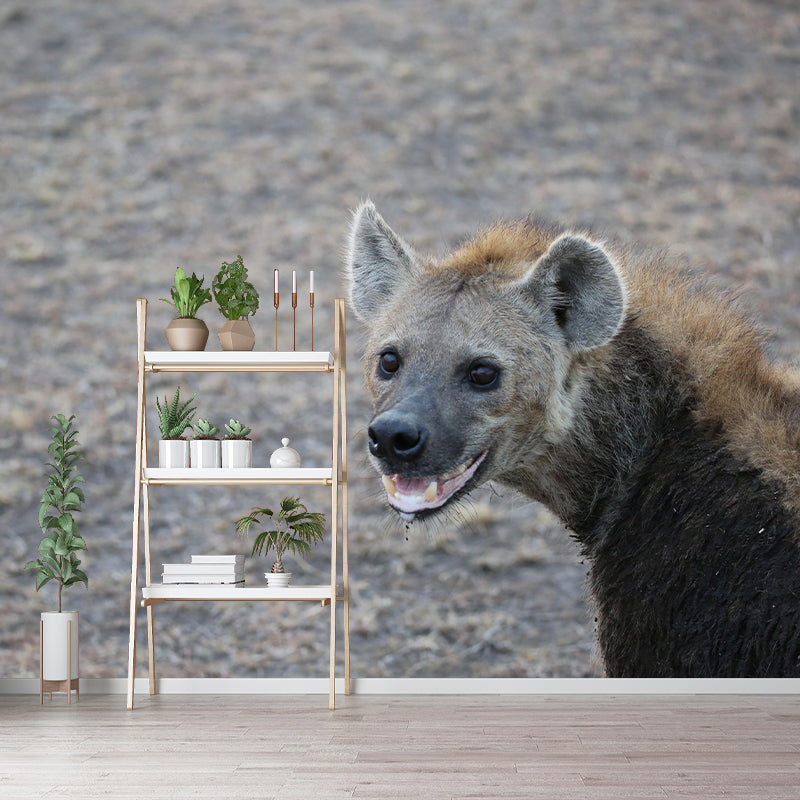 Contemporary Style Hyena Mural Eco-friendly Wallpaper Wall Covering for Sitting Room