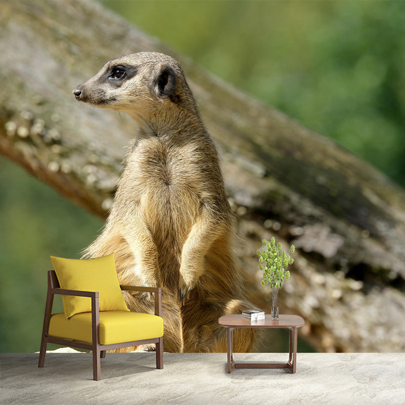 Contemporary Style Meerkat Mural Eco-friendly Wallpaper Wall Covering for Sitting Room