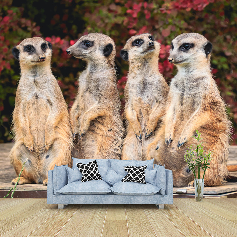 Contemporary Style Meerkat Mural Eco-friendly Wallpaper Wall Covering for Sitting Room