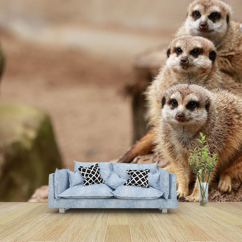 Contemporary Style Meerkat Mural Eco-friendly Wallpaper Wall Covering for Sitting Room
