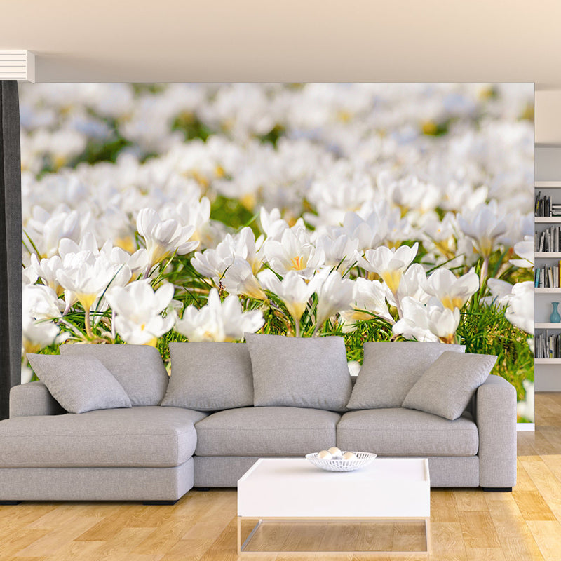 Crocus Flower Blossing Mural Wallpaper Modern Wall Covering for Living Room