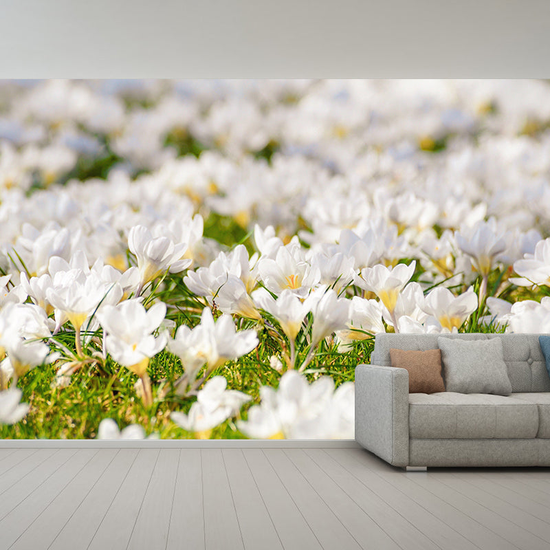 Crocus Flower Blossing Mural Wallpaper Modern Wall Covering for Living Room