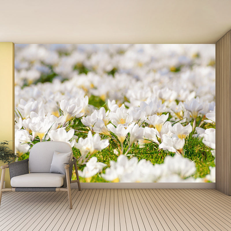 Crocus Flower Blossing Mural Wallpaper Modern Wall Covering for Living Room