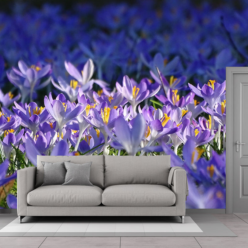 Crocus Flower Blossing Mural Wallpaper Modern Wall Covering for Living Room