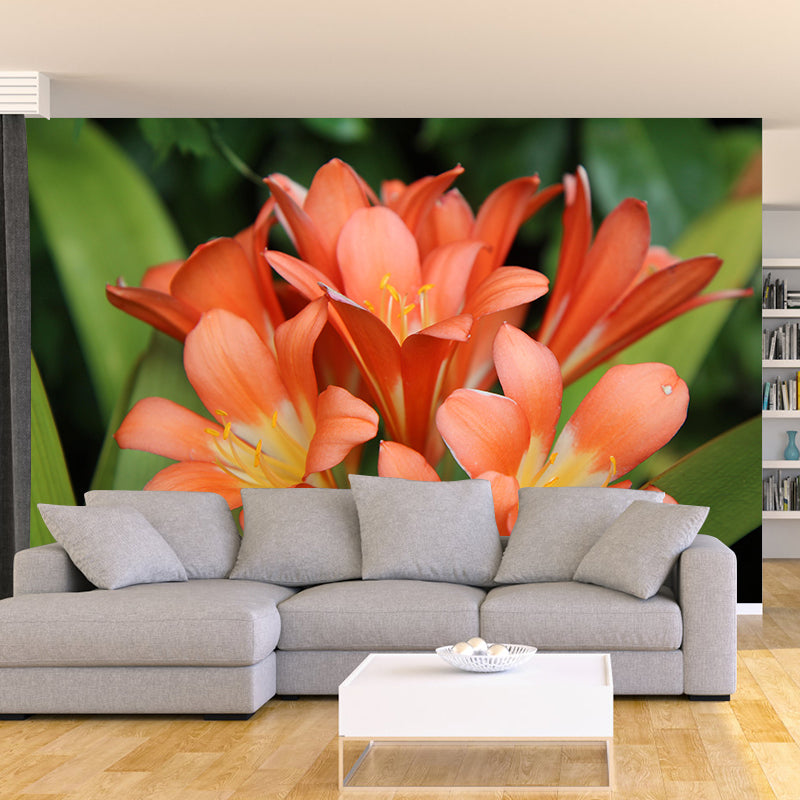 Clivia Flower  Blossing Mural Wallpaper Modern Wall Covering for Living Room