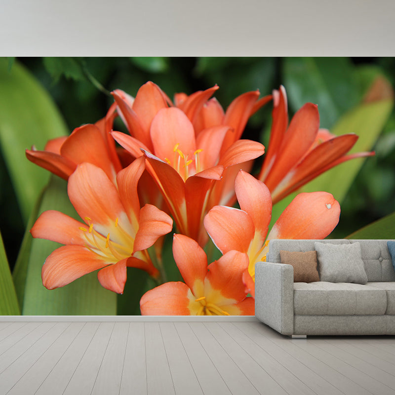 Clivia Flower  Blossing Mural Wallpaper Modern Wall Covering for Living Room