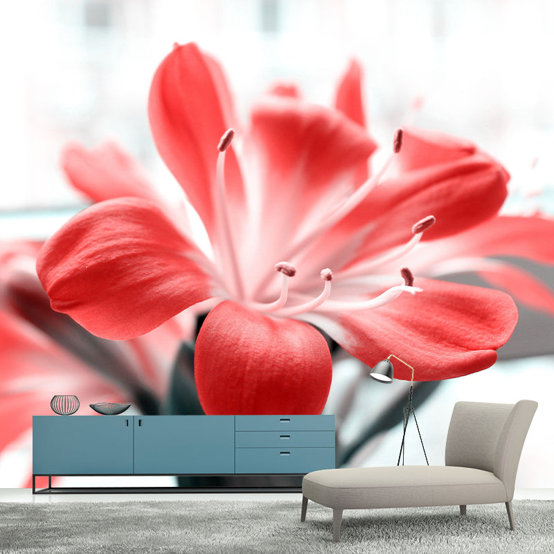Clivia Flower  Blossing Mural Wallpaper Modern Wall Covering for Living Room